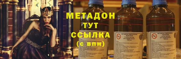 прущие грибы Алексеевка