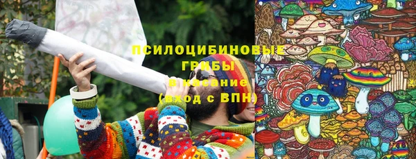 герыч Алексин