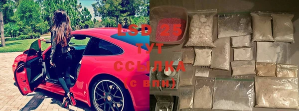 прущие грибы Алексеевка