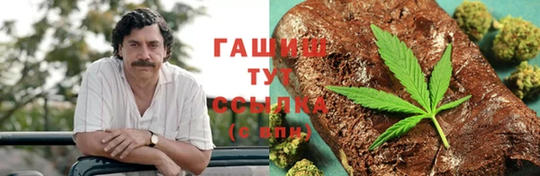 прущие грибы Алексеевка