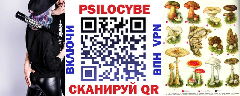 что такое   Апрелевка  Галлюциногенные грибы прущие грибы 