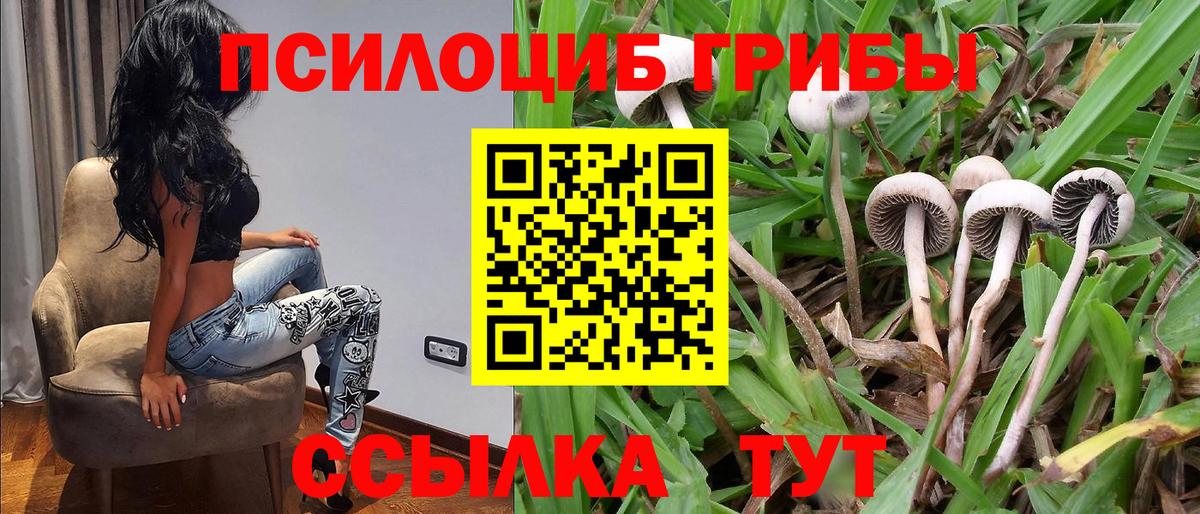 Псилоцибиновые грибы мухоморы  хочу наркоту  Псилоцибиновые грибы MAGIC MUSHROOMS  Апрелевка  Вход с VPN 