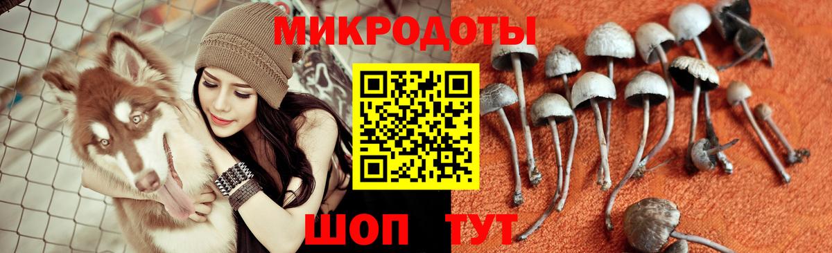 Псилоцибиновые грибы GOLDEN TEACHER Апрелевка